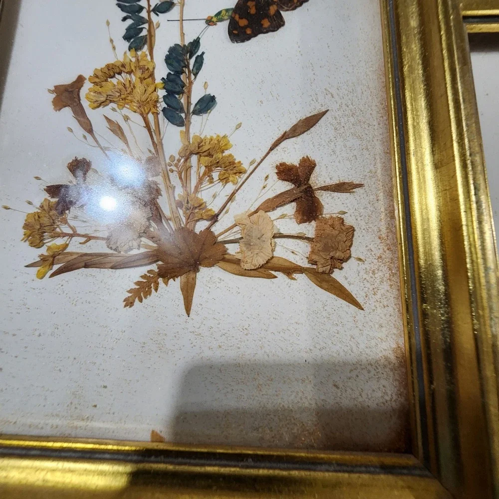 Vintage Reichlin Switzerland Pressed Flower Butterfly Art Gold Frames Set of 2